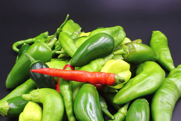 Hot Chillies 