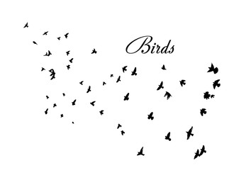 A flock of flying birds. Vector illustration