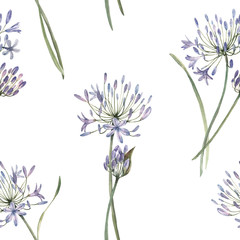 Watercolor allium floral seamless pattern - obrazy, fototapety, plakaty