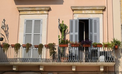 balkon z kaktusamim