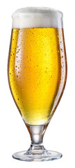 Glass of beer isolated on white background.