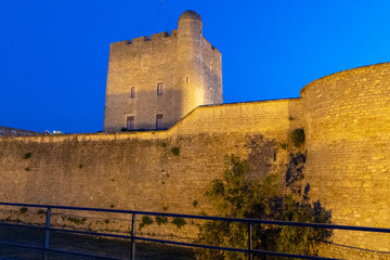 Ancient fortress Vauban in Fouras at night summer in France