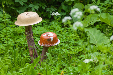 Two unusual mushrooms made from old basins