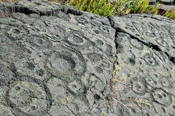Hawaiian Petroglyph, Volcano National Park