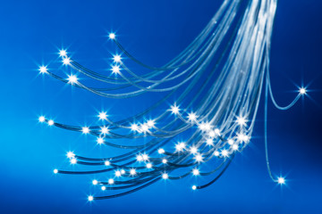 Bundle of optical fibers with lights in the ends. Blue background.