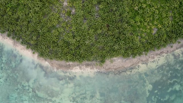 4K Aerial Drone Footage Of Lush Coastal Landscape In guyam Siargao Philippines Rocky and sandy beach meets a beautiful aqua ocean water and hundreds of palm trees.