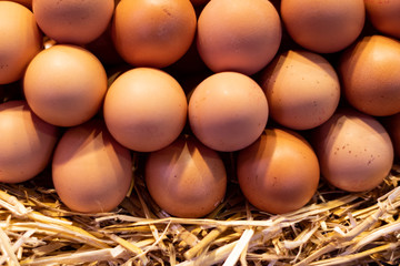 a lot of eggs in the marquet