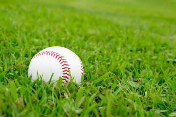 Obraz na płótnie Canvas 野球場と硬式ボール