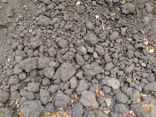 Lumps of Earth brown whole Cucha
