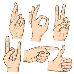 Hand gestures set isolated on white background. Colorful vector cartoon illustration.