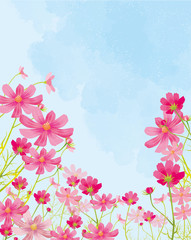 秋桜 コスモス祭り 花 秋 9月 10月 水彩 手描き 満開 Wall Mural Okaka08