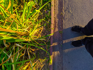 Shoes and leaves of flowers