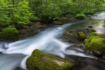 Refreshing Oirase mountain stream in autumn