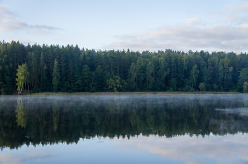 Fototapeta na wymiar Morning on the forest lake. Trees are reflected in the water with light fog.