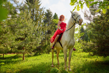 Girl in beautiful red dress on white horse in Park or forest. Photo shoot models and fashion