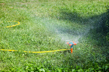 Naklejka premium sprinkler for watering grass