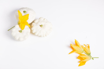 White squash vegetables on a white flat background for decoration design. Top view, flat lay. White background.