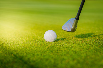 Close up golf club and golf ball ,professional golfer teeing golf ball to hole at golf course to win in game ,green grass and sunlight rays background. 