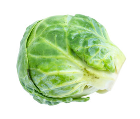 Obraz premium ripe fresh brussels sprout cut out on white