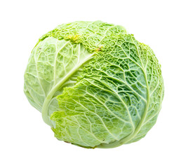 Fototapeta premium head of green savoy cabbage cut out on white