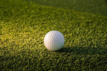 A white golf ball on green grass with golf course background,green tree sun rays. 