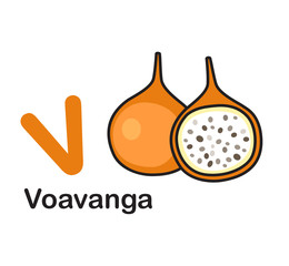 Alphabet Letter V-Voavanga vector illustration