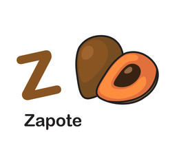 Alphabet Letter Z-Zapote vector illustration