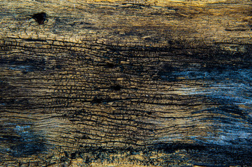 Closeup vintage timer wood wall plank with nail holes and burns texture.