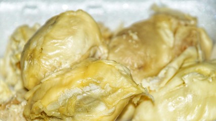 Close up durian flesh yellow white .Tropical fruit. 