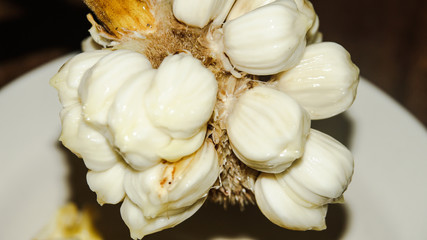 Fruits of Sabah Borneo called Buah Tarap, Timadang or Marang. Close up. Selected focus.