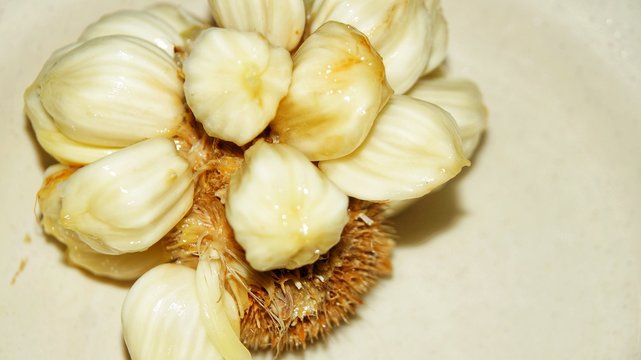Fruits of Sabah Borneo called Buah Tarap, Timadang or Marang. Close up. Selected focus.