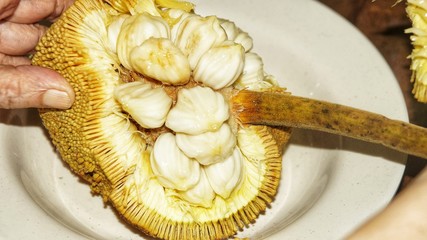 Fruits of Sabah Borneo called Buah Tarap, Timadang or Marang. Close up. Selected focus.