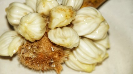 Fruits of Sabah Borneo called Buah Tarap, Timadang or Marang. Close up. Selected focus.