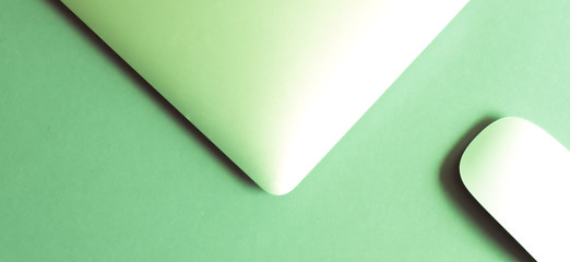 Laptop and mouse in mint tone.