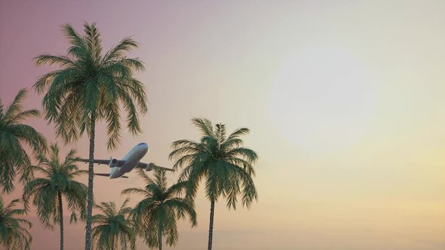 Airplane flying over palm trees. Sunset sky over tropical trees. Warm sky background with aircraft tourist travel. Airplane flies above tropical trees.	