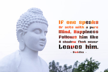 If one speaks or acts with a pure mind, happiness follows him like a shadow that never leaves him - buddha (2)