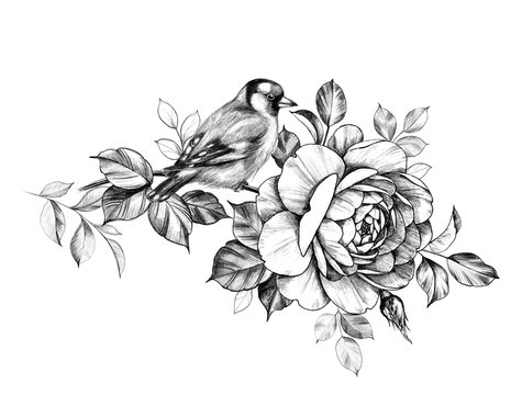recommend clip art: Goldfinch Sitting on Rose Branch