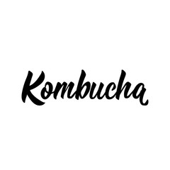 Fototapeta na wymiar Kombucha. Vector illustration. Lettering. Ink illustration. Kombucha healthy fermented probiotic tea.