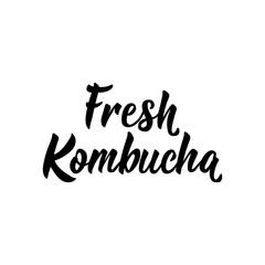 Fresh Kombucha. Vector illustration. Lettering. Ink illustration. Kombucha healthy fermented probiotic tea.