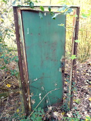 Geheimnisvolle Tür im Wald