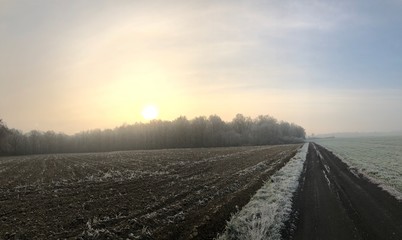 Fototapeta premium zimowe widoki - szron na polu i spacer z psem