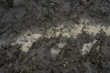 Liquid mud with water in which the track from the tractor tires was perfectly imprinted