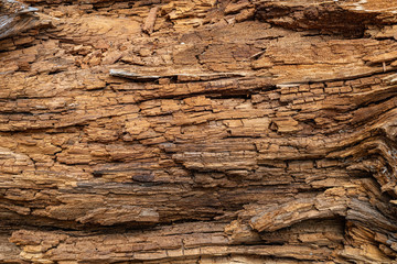 Old pine wood ruined by time