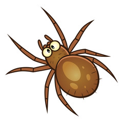 Spider pest