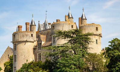 Fototapeta na wymiar Montreuil-Bellay. Le château. Maine-et-Loire. Pays de Loire