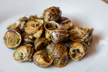 cagouilles en persillade