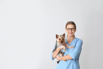 Poster Veterinarian with cute dog on light background © Pixel-Shot
