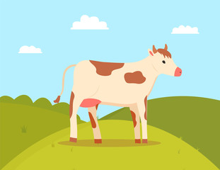 Farming and agriculture vector, cow on pasture green grass and hills, meadow with food for animal, ranch and breeding of cattle, character on nature. Flat cartoon