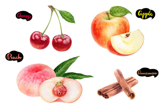 Apple cinnamon cherry peach set fruit watercolor isolated on white background