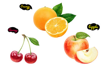 Apple orange cherry set fruit watercolor isolated on white background